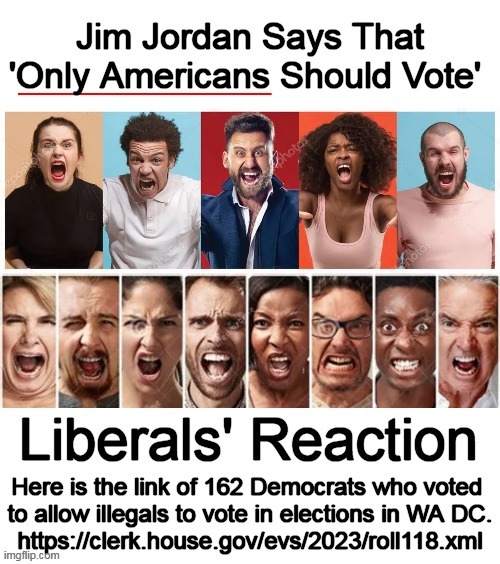 Something is very wrong w/ people who think ILLEGALS should VOTE in AMERICA. | image tagged in politics,liberals vs conservatives,illegals,americans,voting,what the heck is wrong with you people | made w/ Imgflip meme maker