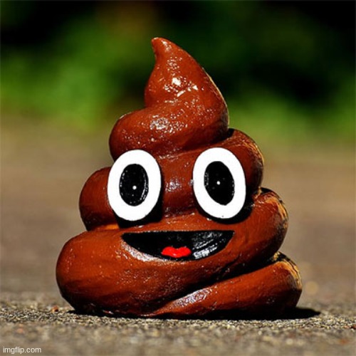 poop | image tagged in poop | made w/ Imgflip meme maker