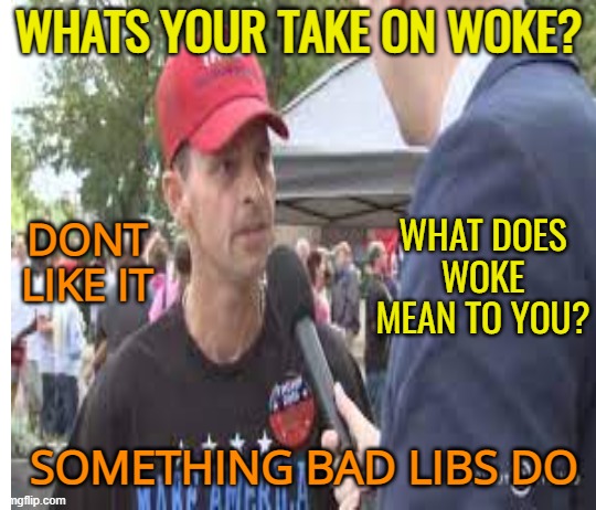 WHATS YOUR TAKE ON WOKE? SOMETHING BAD LIBS DO DONT LIKE IT WHAT DOES WOKE MEAN TO YOU? | made w/ Imgflip meme maker