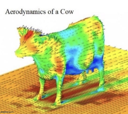 Aerodynamics of a cow | image tagged in aerodynamics of a cow | made w/ Imgflip meme maker