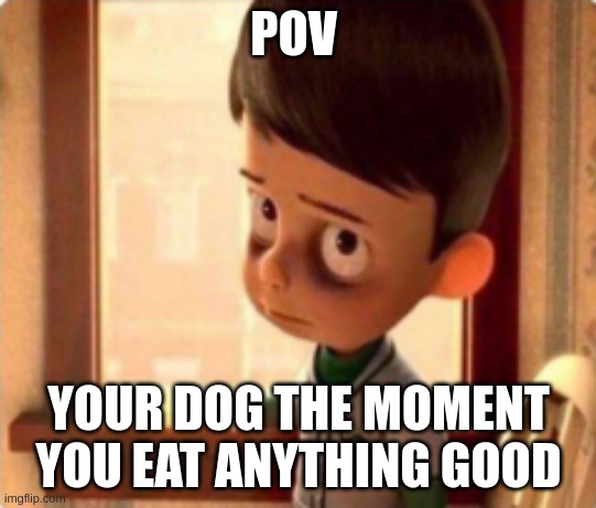 HAte it | POV; YOUR DOG THE MOMENT YOU EAT ANYTHING GOOD | image tagged in the robbbinsons meme | made w/ Imgflip meme maker