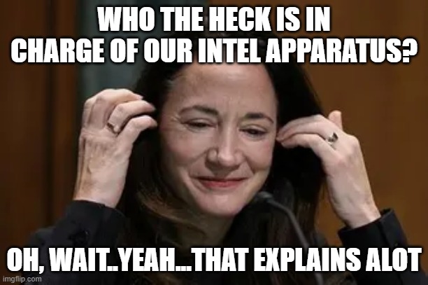 um...ye-ahh.... | WHO THE HECK IS IN CHARGE OF OUR INTEL APPARATUS? OH, WAIT..YEAH...THAT EXPLAINS ALOT | image tagged in memes,dni,catlady | made w/ Imgflip meme maker
