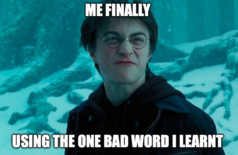 Harry Potter | ME FINALLY; USING THE ONE BAD WORD I LEARNT | image tagged in harry potter | made w/ Imgflip meme maker