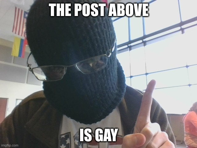 Blurry-nugget post above | THE POST ABOVE; IS GAY | image tagged in blurry-nugget post above | made w/ Imgflip meme maker