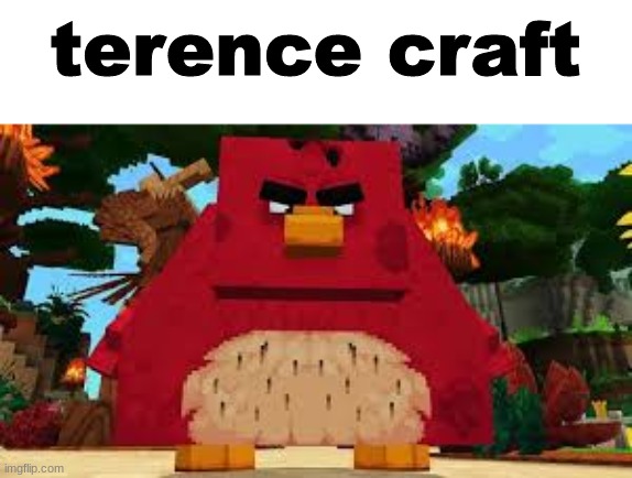 terence craft | made w/ Imgflip meme maker