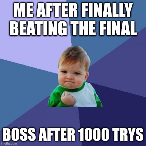 1000 trys | ME AFTER FINALLY BEATING THE FINAL; BOSS AFTER 1000 TRYS | image tagged in memes,success kid | made w/ Imgflip meme maker