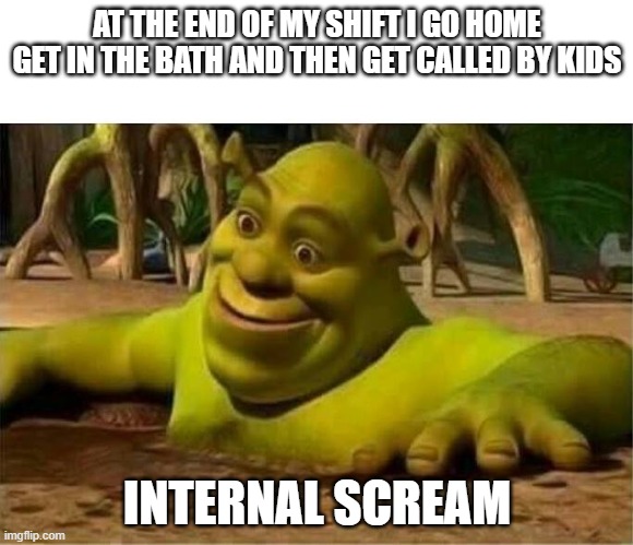 shrek | AT THE END OF MY SHIFT I GO HOME GET IN THE BATH AND THEN GET CALLED BY KIDS; INTERNAL SCREAM | image tagged in shrek | made w/ Imgflip meme maker