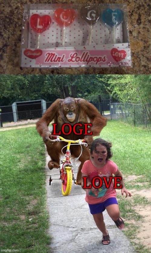 Loge | LOGE; LOVE | image tagged in orangutan chasing girl on a tricycle,spelling error,love,lollipops,you had one job,memes | made w/ Imgflip meme maker