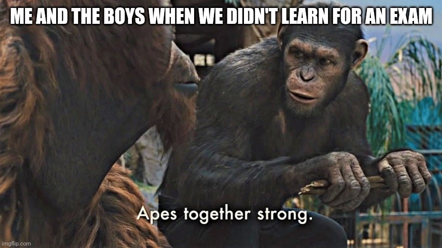 Ape together strong | ME AND THE BOYS WHEN WE DIDN'T LEARN FOR AN EXAM | image tagged in ape together strong | made w/ Imgflip meme maker