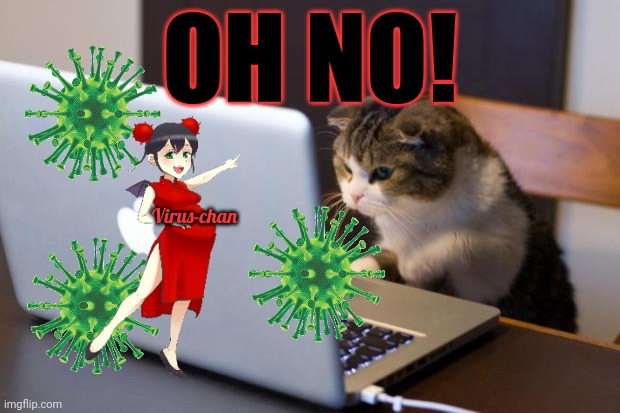 Cat using computer | OH NO! Virus-chan | image tagged in cat using computer | made w/ Imgflip meme maker