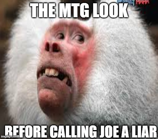 MTG crazy is in the House | THE MTG LOOK; BEFORE CALLING JOE A LIAR | image tagged in mtg,crazy,maga,joe biden,funny | made w/ Imgflip meme maker