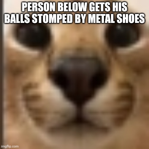 Whar | PERSON BELOW GETS HIS BALLS STOMPED BY METAL SHOES | image tagged in whar | made w/ Imgflip meme maker