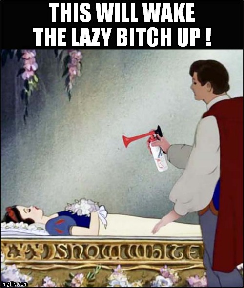 Someday Your Prince Will Come (With The Horn) ! | THIS WILL WAKE THE LAZY BITCH UP ! | image tagged in snow white,horny,prince,wake up,dark humour | made w/ Imgflip meme maker