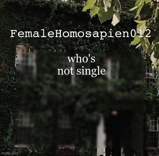 im gonna find NO comments saying that someone's taken lmao | who's not single | image tagged in femalehomosapien012 | made w/ Imgflip meme maker