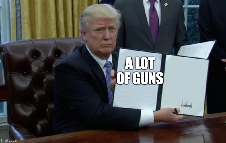 Executive Order Trump | A LOT OF GUNS | image tagged in executive order trump | made w/ Imgflip meme maker