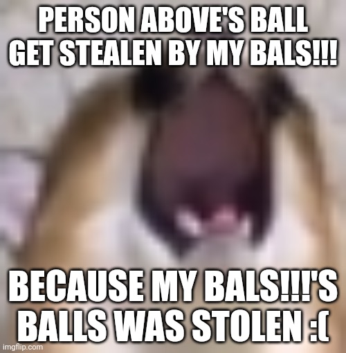 MY BALS!!! | PERSON ABOVE'S BALL GET STEALEN BY MY BALS!!! BECAUSE MY BALS!!!'S BALLS WAS STOLEN :( | image tagged in my bals | made w/ Imgflip meme maker