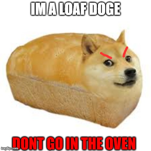 dont go near the oven | IM A LOAF DOGE; DONT GO IN THE OVEN | image tagged in that would be great | made w/ Imgflip meme maker