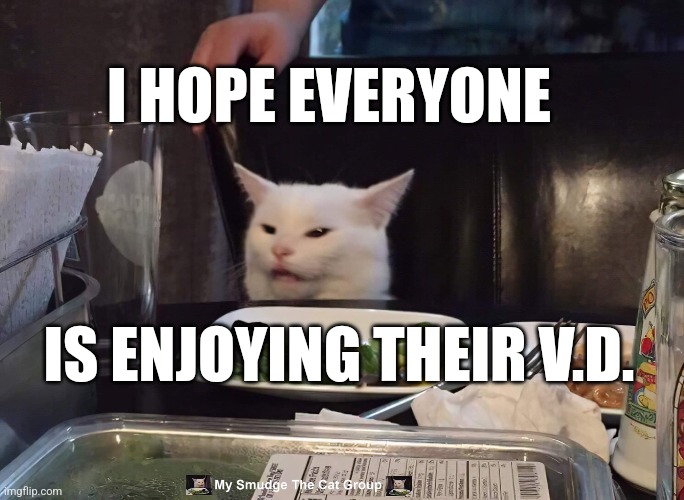 I HOPE EVERYONE; IS ENJOYING THEIR V.D. | image tagged in smudge the cat,memes | made w/ Imgflip meme maker