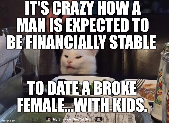 IT'S CRAZY HOW A MAN IS EXPECTED TO BE FINANCIALLY STABLE; TO DATE A BROKE FEMALE...WITH KIDS. | image tagged in smudge the cat | made w/ Imgflip meme maker