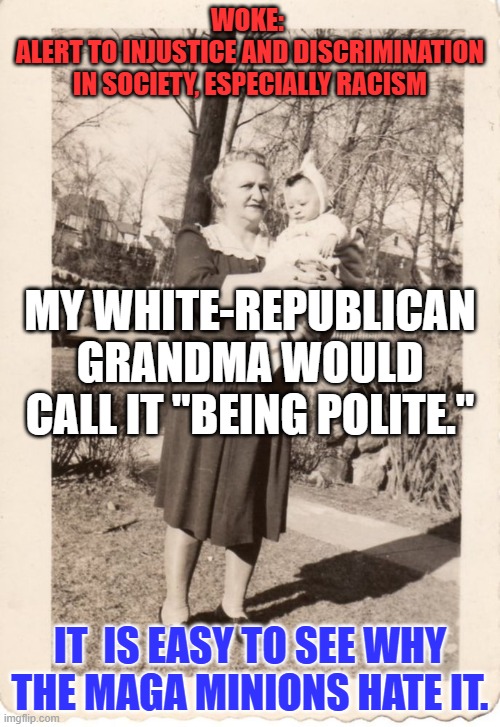 I looked it up in the dictionary. It means "anti-racism." Is "anti-woke," "pro-racism?" | WOKE: 
ALERT TO INJUSTICE AND DISCRIMINATION IN SOCIETY, ESPECIALLY RACISM; MY WHITE-REPUBLICAN GRANDMA WOULD CALL IT "BEING POLITE."; IT  IS EASY TO SEE WHY THE MAGA MINIONS HATE IT. | image tagged in politics | made w/ Imgflip meme maker