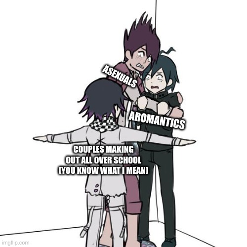 I am in need of a time machine and a significant amount of bleach | ASEXUALS; AROMANTICS; COUPLES MAKING OUT ALL OVER SCHOOL
(YOU KNOW WHAT I MEAN) | image tagged in t-posing kokichi traps kaito and shuichi | made w/ Imgflip meme maker