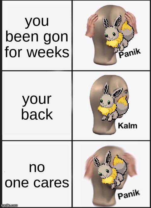 why | you been gon for weeks; your back; no one cares | image tagged in memes,panik kalm panik | made w/ Imgflip meme maker