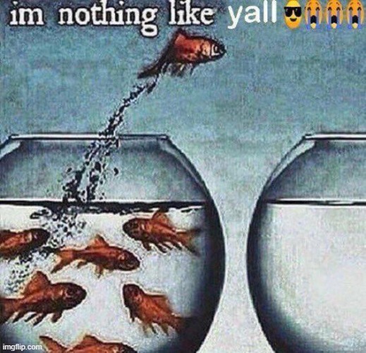 this pic goes hard, feel free to screenshot | image tagged in fish,memes,funny,random,nothing,surreal | made w/ Imgflip meme maker
