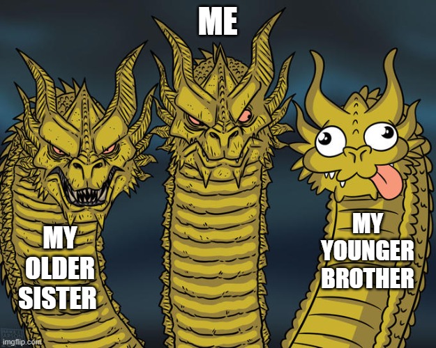 Three-headed Dragon | ME; MY YOUNGER BROTHER; MY OLDER SISTER | image tagged in three-headed dragon | made w/ Imgflip meme maker