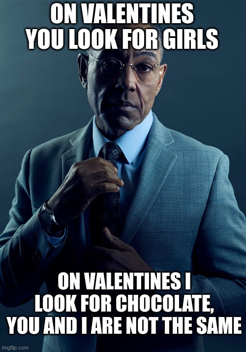 Valentines Meme | ON VALENTINES YOU LOOK FOR GIRLS; ON VALENTINES I LOOK FOR CHOCOLATE, YOU AND I ARE NOT THE SAME | image tagged in gus fring we are not the same | made w/ Imgflip meme maker