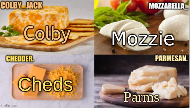 the cheese's nicknames | Mozzie; Colby; Parms; Cheds | image tagged in the cheese temp | made w/ Imgflip meme maker