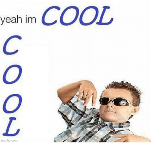 yeah im cool | image tagged in yeah im cool | made w/ Imgflip meme maker