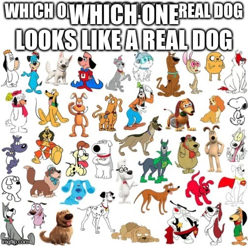 Dogs | WHICH ONE LOOKS LIKE A REAL DOG | image tagged in doggo | made w/ Imgflip meme maker