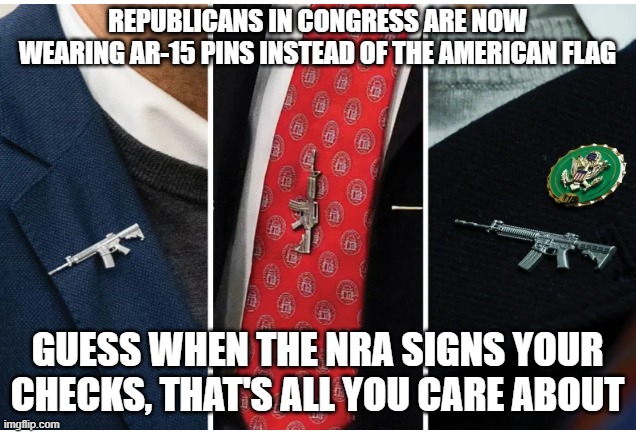 AR-15 pins | REPUBLICANS IN CONGRESS ARE NOW WEARING AR-15 PINS INSTEAD OF THE AMERICAN FLAG; GUESS WHEN THE NRA SIGNS YOUR CHECKS, THAT'S ALL YOU CARE ABOUT | image tagged in ar-15 pins | made w/ Imgflip meme maker