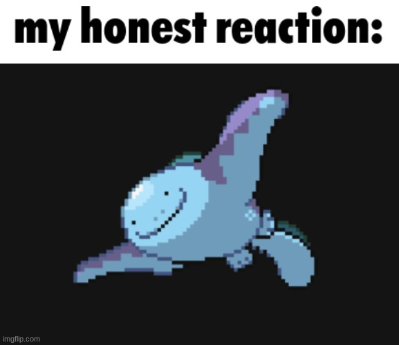 my honest reaction: Blank Meme Template