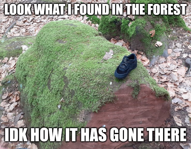 Btw I made this photo | LOOK WHAT I FOUND IN THE FOREST; IDK HOW IT HAS GONE THERE | image tagged in strange | made w/ Imgflip meme maker