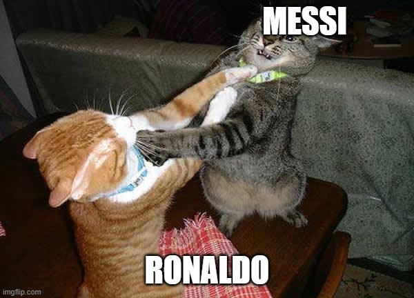 cats | MESSI; RONALDO | image tagged in two cats fighting for real | made w/ Imgflip meme maker