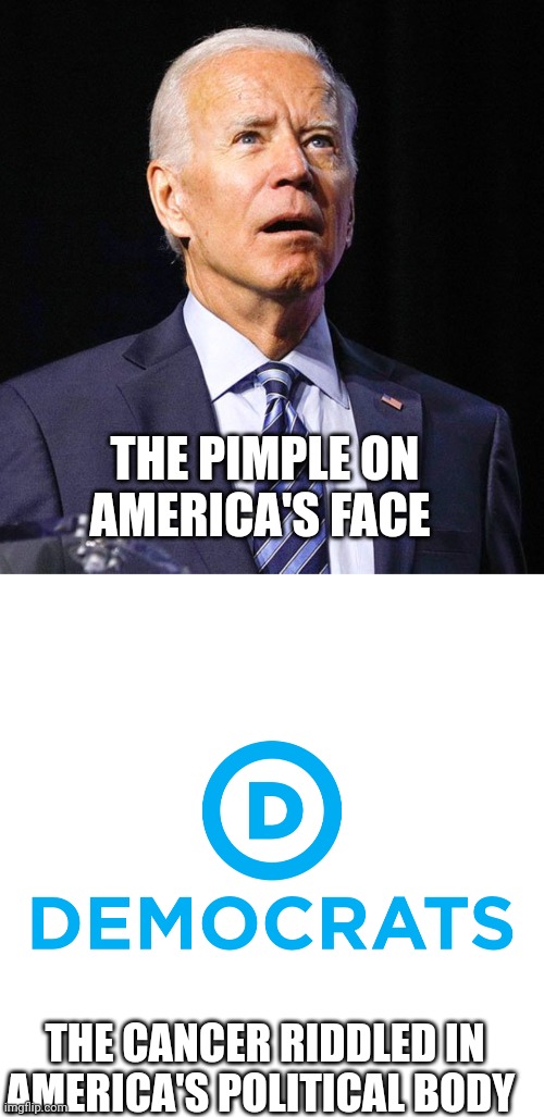 Freedom isn't for free | THE PIMPLE ON AMERICA'S FACE; THE CANCER RIDDLED IN AMERICA'S POLITICAL BODY | image tagged in joe biden,democrats | made w/ Imgflip meme maker