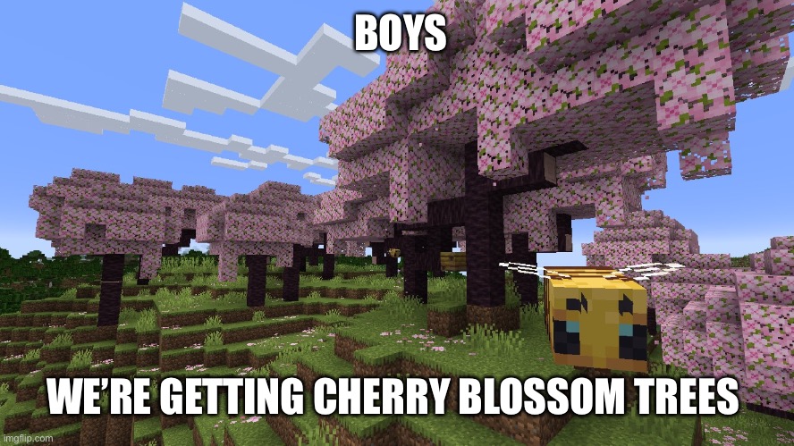 Yessir | BOYS; WE’RE GETTING CHERRY BLOSSOM TREES | made w/ Imgflip meme maker
