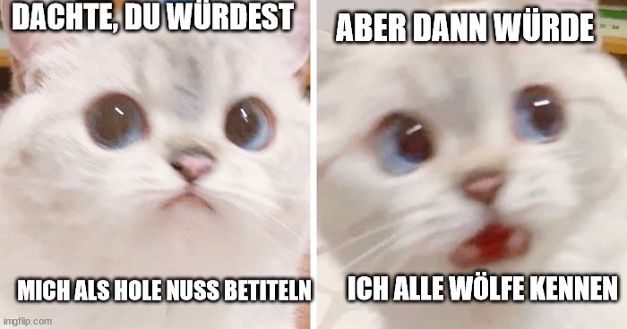 7b5mzj.jpg