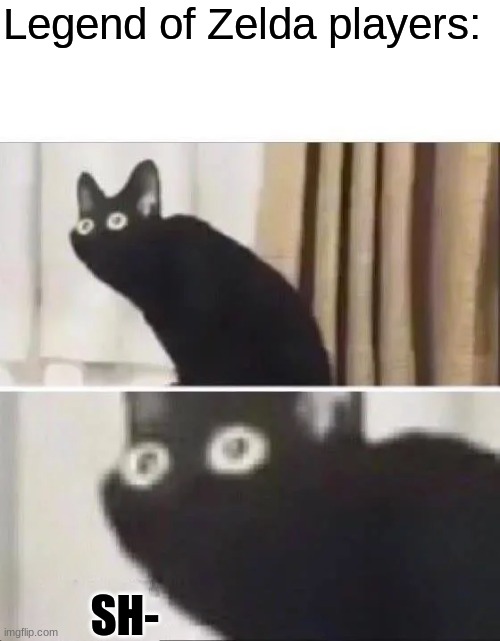 Oh No Black Cat | Legend of Zelda players: SH- | image tagged in oh no black cat | made w/ Imgflip meme maker