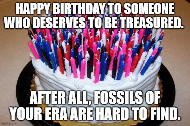 Birthday Cake | HAPPY BIRTHDAY TO SOMEONE WHO DESERVES TO BE TREASURED. AFTER ALL, FOSSILS OF YOUR ERA ARE HARD TO FIND. | image tagged in birthday cake | made w/ Imgflip meme maker