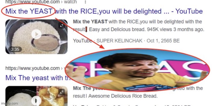 mr brest real | image tagged in bruh,lol,why are you reading this | made w/ Imgflip meme maker