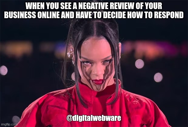 Responding To Negative Reviews | WHEN YOU SEE A NEGATIVE REVIEW OF YOUR BUSINESS ONLINE AND HAVE TO DECIDE HOW TO RESPOND; @digitalwebware | image tagged in rhianna | made w/ Imgflip meme maker