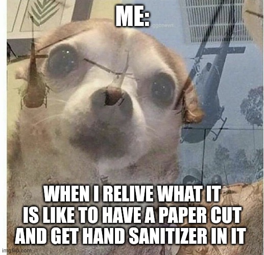 Hand sanitizer in a paper cut | ME:; WHEN I RELIVE WHAT IT IS LIKE TO HAVE A PAPER CUT AND GET HAND SANITIZER IN IT | image tagged in ptsd chihuahua | made w/ Imgflip meme maker