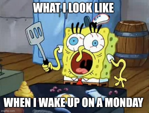 Waking up on Mondays suck | WHAT I LOOK LIKE; WHEN I WAKE UP ON A MONDAY | image tagged in crazy spongebob | made w/ Imgflip meme maker