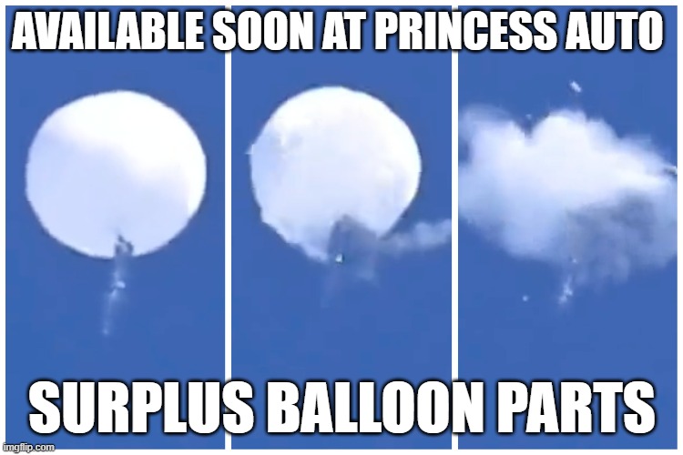 Princess Auto | AVAILABLE SOON AT PRINCESS AUTO; SURPLUS BALLOON PARTS | image tagged in funny memes | made w/ Imgflip meme maker