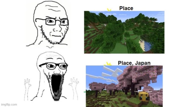 Cherry blossom biome looks great | image tagged in memes,minecraft,repost,soyjak,minecraft memes,funny | made w/ Imgflip meme maker