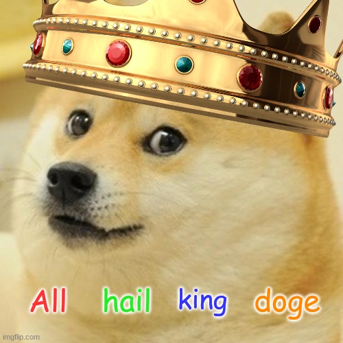 All hail king Doge!! | All; hail; king; doge | image tagged in doge,doge is king | made w/ Imgflip meme maker