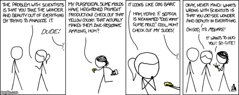 877 - Beauty | image tagged in science,xkcd,comic,comics,comics/cartoons | made w/ Imgflip meme maker