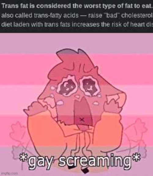 thats pretty darn transphobic /j | image tagged in transgender,food,furry,rat,mouse,trans | made w/ Imgflip meme maker